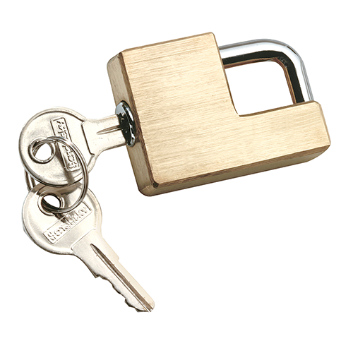 Reese Towpower 7005300 Trailer Coupler Lock, Adjustable, Brass