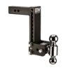 TS10043B Type 12 BLK T&S, DOUBLE BALL