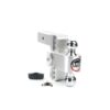 Weigh Safe Turnover Ball 6" Drop Hitch with 2.5" Shank